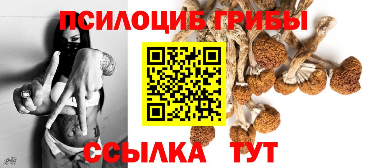 Галлюциногенные грибы прущие грибы  Вход с VPN  Полысаево 