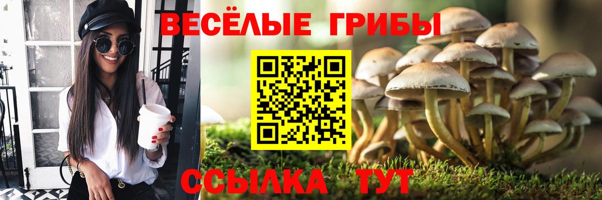 Галлюциногенные грибы Magic Shrooms Полысаево